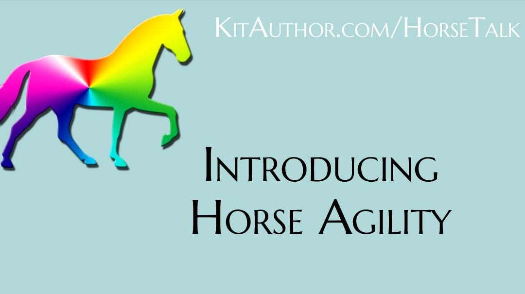 Introducing Horse Agility